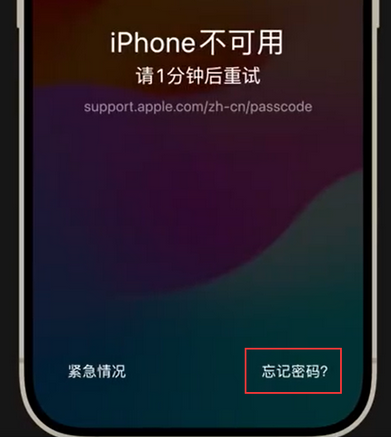 蒲县苹果手机密码维修分享iPhone忘记了刚设置的密码 