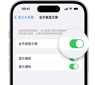 蒲县苹果15预约维修分享iPhone15如何设置全天候显示屏幕可见 