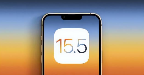蒲县苹果手机维修分享iOS15.5 RC版升级建议 