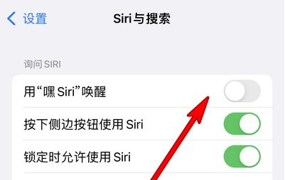 蒲县苹果13维修分享iPhone 13怎么唤醒 Siri  