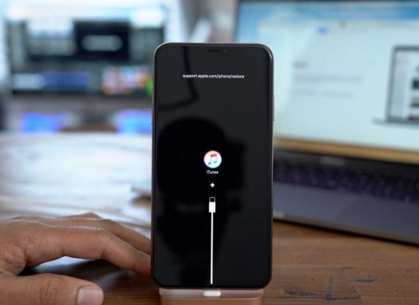 蒲县苹果手机维修分享iPhone12进DFU教程 